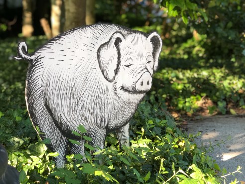 Photo taken with Focos