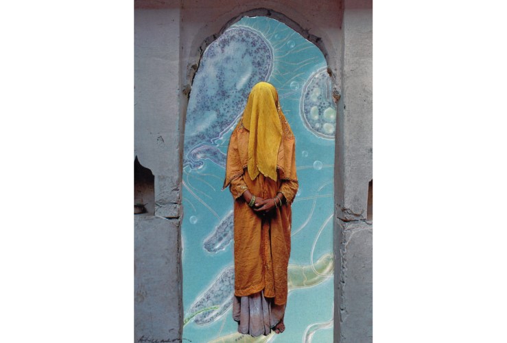 TranscendenceLindaAtkinson-711x1024