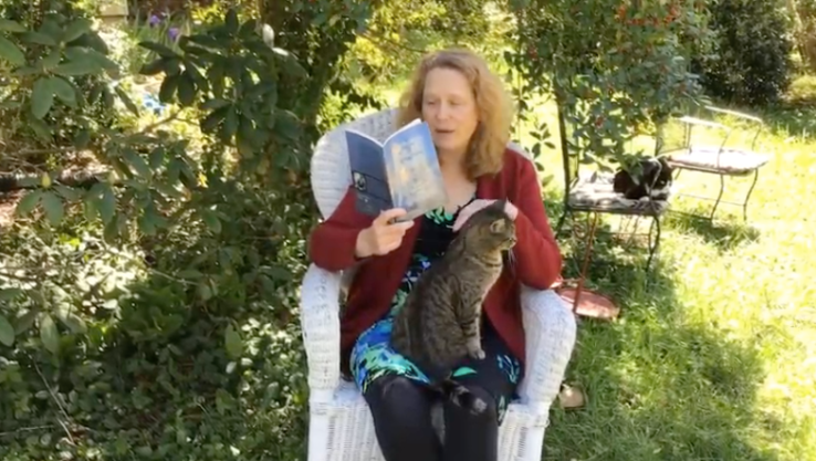 Screen Shot 2020-04-17 at 8.14.16 AM